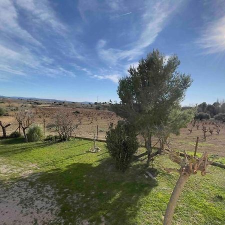 Casa Rural Cal Caseto Font-Rubi ภายนอก รูปภาพ