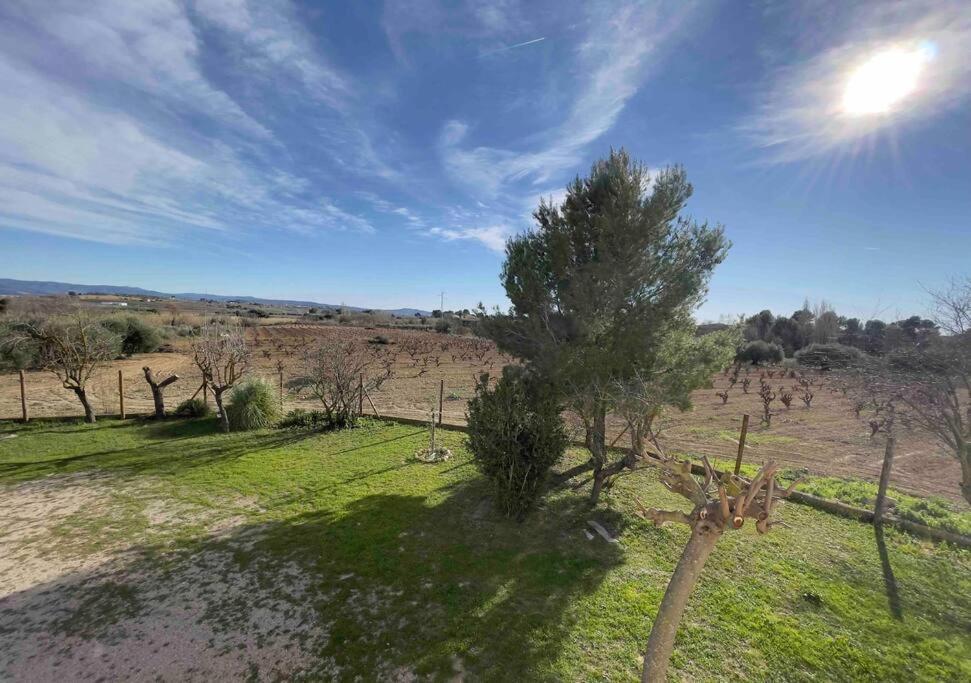 Casa Rural Cal Caseto Font-Rubi ภายนอก รูปภาพ